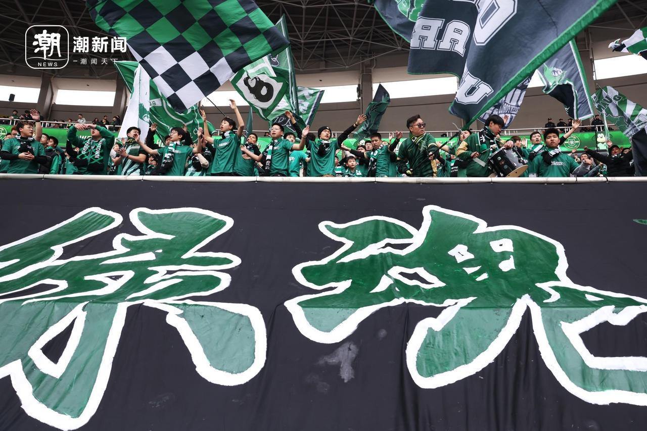 浙江绿城主场失利，主教练面临压力的简单介绍  第2张